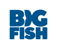 Big Fish Consult Jobs