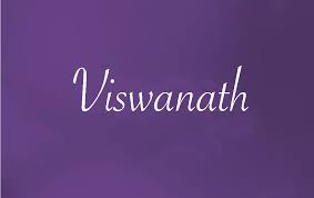 viswanath gangadhar Careers