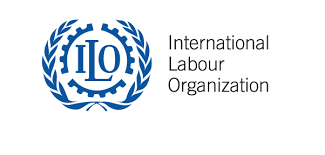 International Labour Organization Qatar Careers