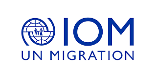 International Organization for Migration Qatar Careers